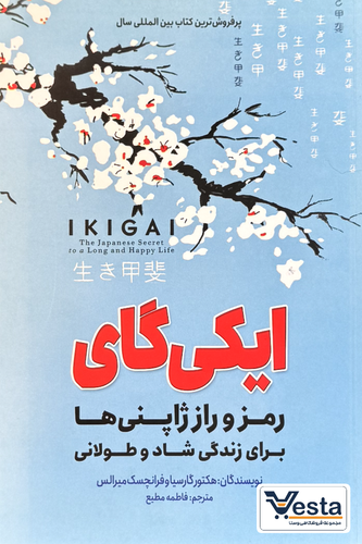 معرفی کتاب ایکی گای
